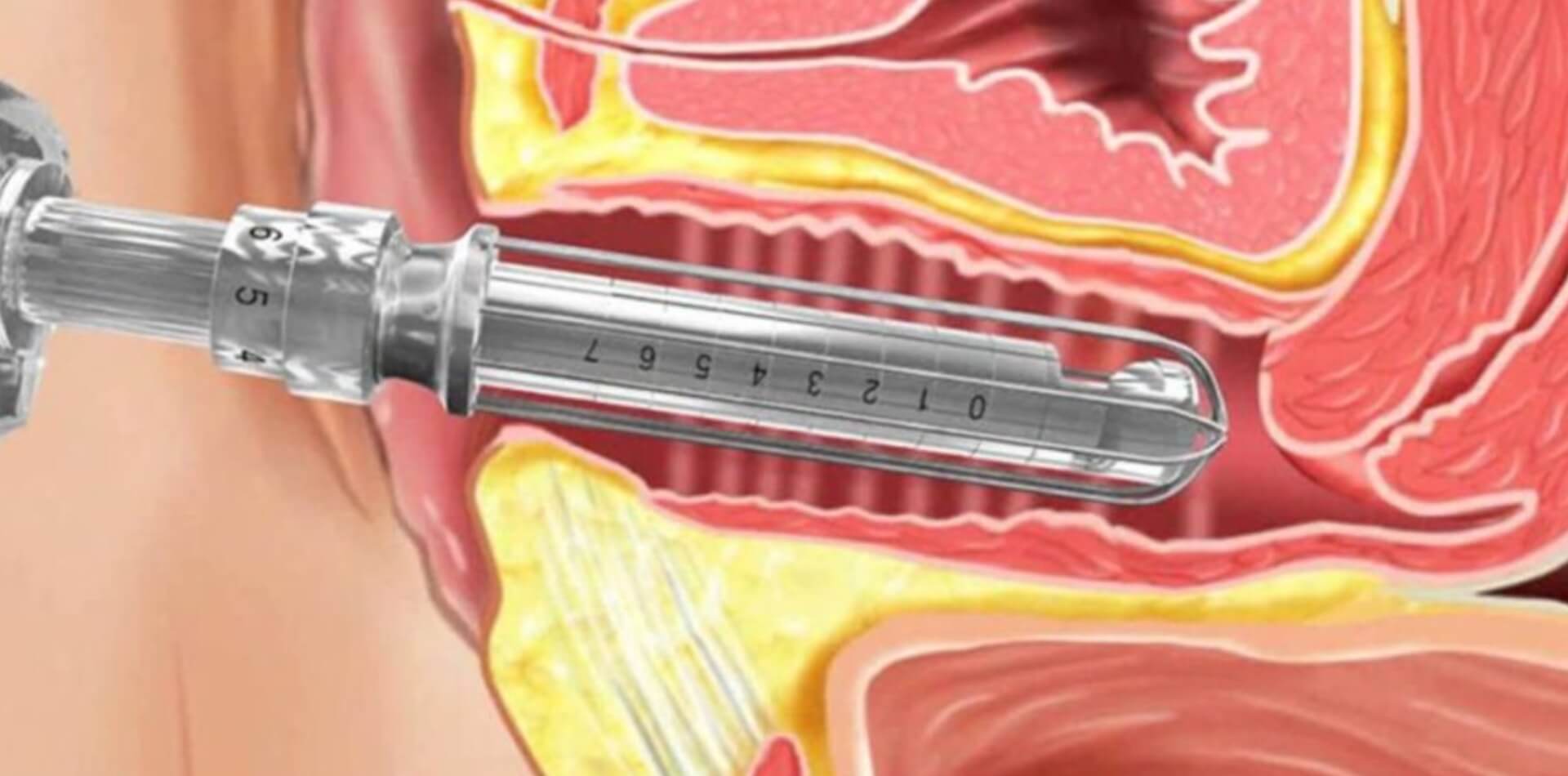 BANNER DESKTOP (10) (1)